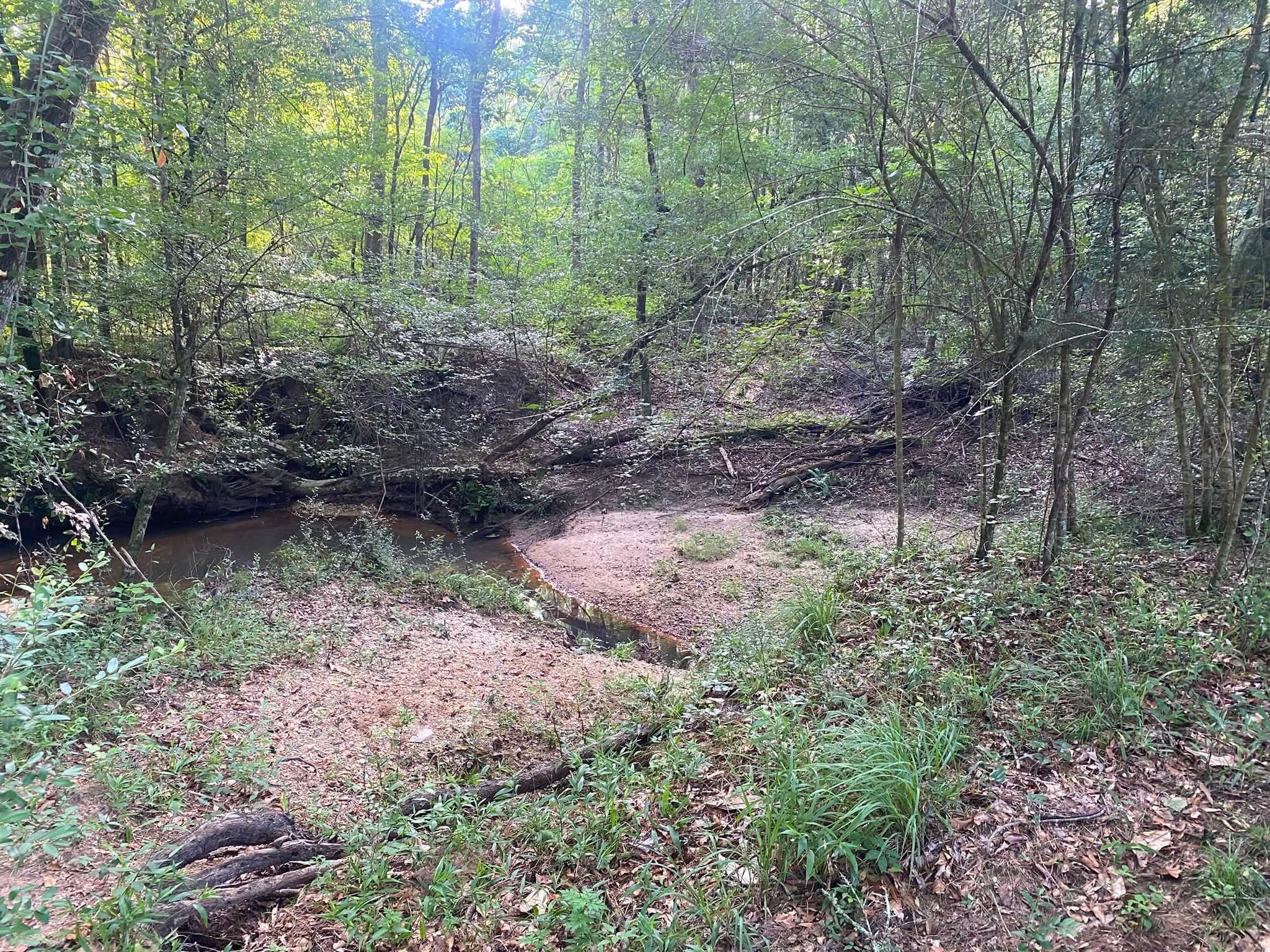 The creek bed winding through a wooded ravine below steep earth banks.