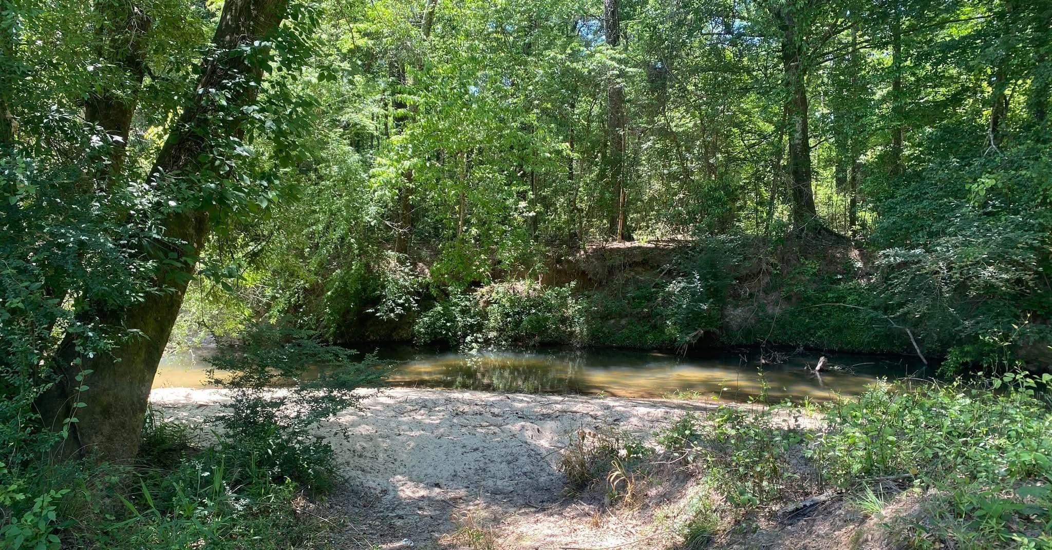 Silver Creek running shallow over a broad sandbar, shaded by trees on both banks.