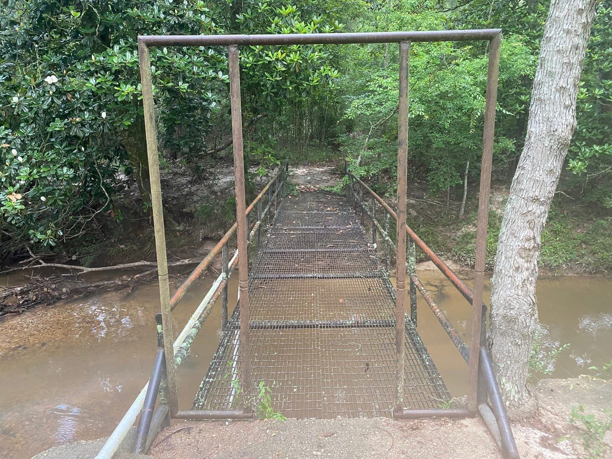 A narrow suspended footbridge with metal handrails crossing the creek into the woods.
